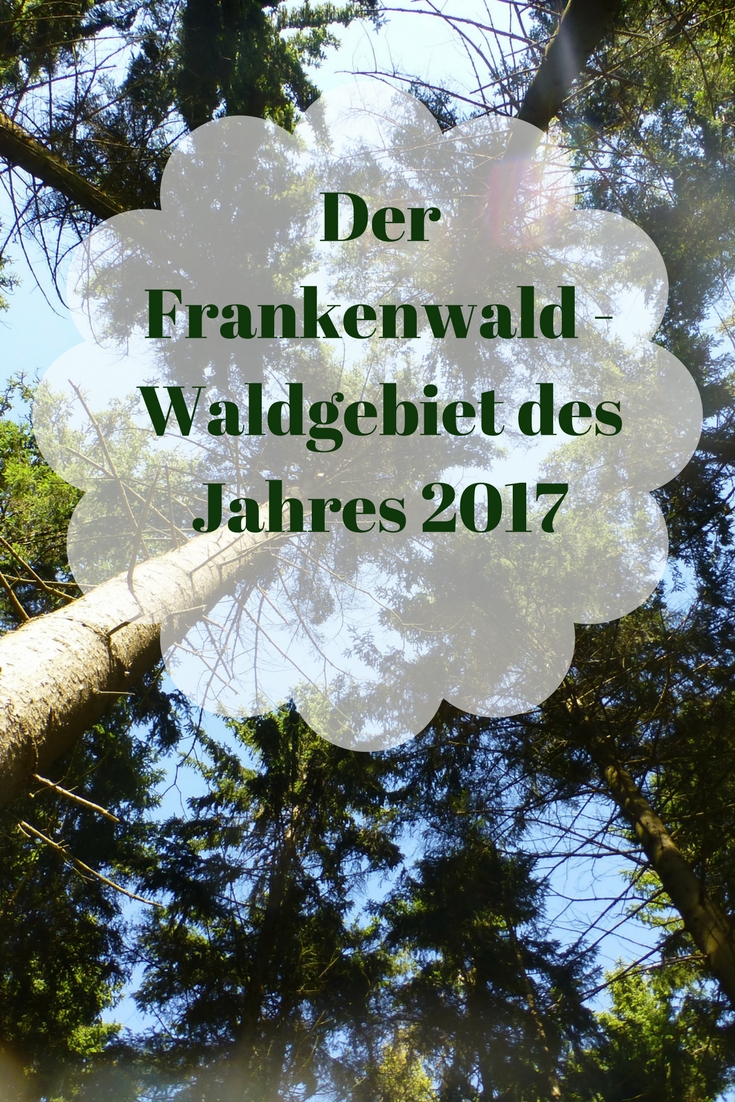Warst Du schon einmal im Frankenwald? Er ist das Waldgebiet des Jahres 2017 aber auch ab 2018 eine Reise wert!